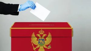 U Podgorici ukradena i uništena glasačka kutija