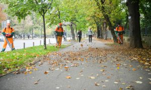 Jesenje redovne aktivnosti: U toku sakupljanje lišća sa pješačkih staza u Banjaluci