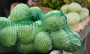 Rekordna potražnja za hranom: Semberski poljoprivrednici kupusom osvojili hrvatsko tržište