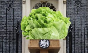 Urnebesne šale: Glavica zelene salate nadživjela vladavinu Liz Tras VIDEO