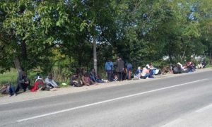 Bijeljinska policija imala posla: U jednom naselju otkriveno 80 migranata