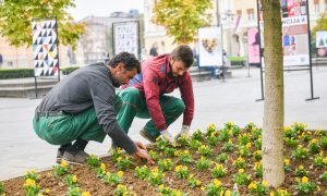 Zasađeno novo cvijeće: Šetalište u centru Banjaluke ukrašeno sadnicama FOTO/VIDEO