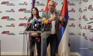 Borenović o postupcima Trivićeve: Nije u redu to što radi