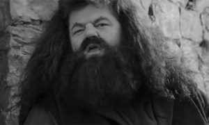 Upečatljiv i jedinstven glumac: Preminuo Hagrid iz Hari Potera