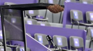 Teniski meč u Meksiku kasnio zbog pčela: Hrvatica nije smjela sjesti na stolicu