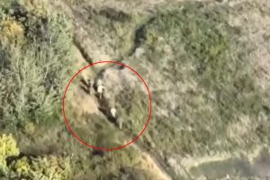 Jeziv snimak sa ukrajinskog ratišta: Pucaju i na vojnike sa nosilima?!  VIDEO