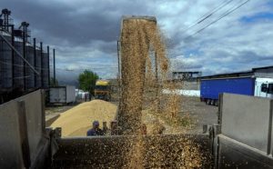 Zbog napada na Krim: Moskva suspenduje učešće u sporazumu za izvoz žita