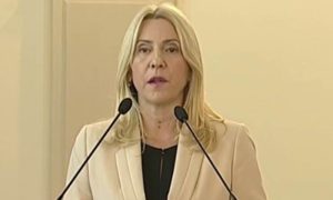 Cvijanović kritikovala Evropski parlament: Dio rezolucije djeluje kao lobistički pamflet pisan u Sarajevu