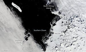NASA otkrila: Najveći ledeni brijeg na svijetu plovi prema ekvatoru