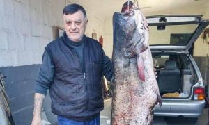 Strastveni ribolovac: Miroljub upecao grdosiju, borba trajala dugo FOTO