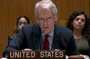 Predstavnik SAD-a u Savjetu bezbjednosti UN: Šmitovim nametanjem izmjena Izbornog zakona spriječen kolaps FBiH
