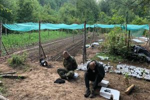 Zbog šverca narkoticima: Četvorka osuđena na ukupno 22 godine zatvora