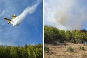 Na terenu 16 vatrogasaca: Na osam hektara gore maslinici, borova šuma i makija
