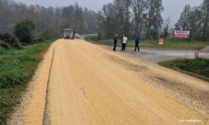 Veliki maler: Kukuruz se iz kamiona prosuo po putu