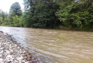 Rijeka Sava u blagom porastu: Ostali vodotoci u blagom opadanju