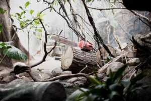 Crna statistika u Srpskoj: Poginulo sedam radnika, najviše u šumskom sektoru