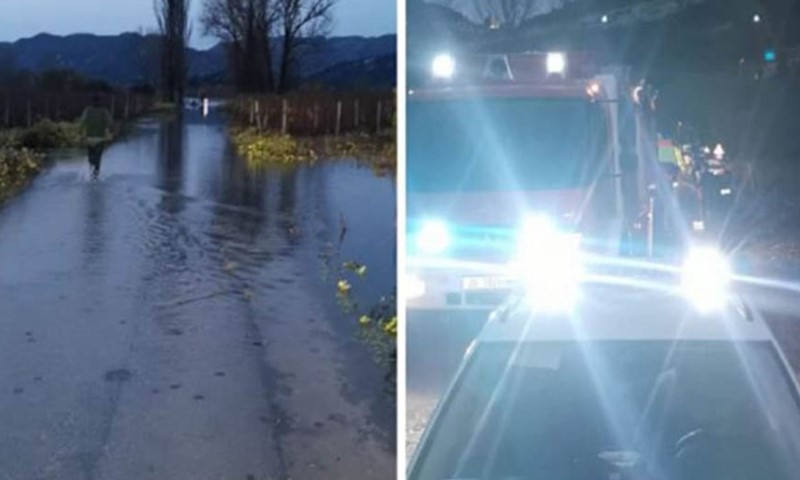 Spasen život: Auto završio u vodi, ženu pronašli na stablu FOTO