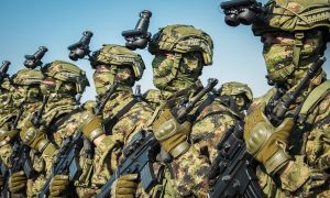 Ministar odbrane istakao: Vojska Srbije jača iz dana u dan