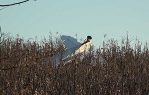 Prijedorčani u šoku nakon tragedije: Pilot pokušao da vrati avion na pistu