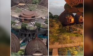 Čudo prirode i arhitekture: Hotel napravljen na drvetu – apartman kao ptičija krošnja VIDEO