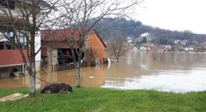 Voda i do jedan metar: Poplavljeno šest kuća u Kostajnici