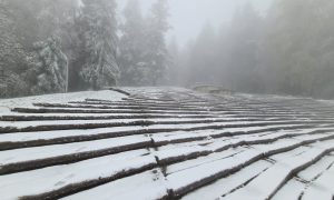 Došlo vrijeme da se počne razmišljati o skijama: Pao snijeg na Kozari FOTO