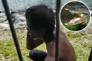 Užas u Maleziji: Krokodil pojeo jednogodišnjeg dječaka VIDEO