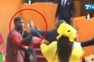 Opšta tuča u parlamentu: Poslanik udario ženu, letjele i stolice VIDEO