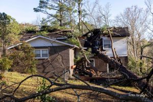 Strašni prizori u Alabami nakon tornada: Ogromno drvo palo na kuću, poginuli majka i sin