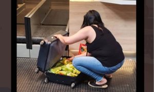 “Paradajz turisti ili paprika turisti”: Krenula za Njemačku pa napunila kofer FOTO