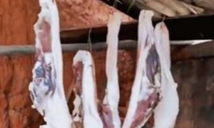 Spremio meso za sušenje: Iznenadio ga simpatični lopov VIDEO