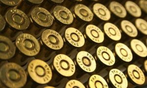 BiH obara rekorde: Bugarska i SAD najveći kupci oružja