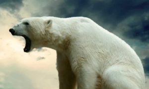 Ušao u zajednicu i progonio mještane: Polarni medvjed usmrtio ženu i dječaka