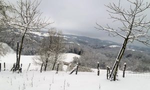 Otežan saobraćaj: Krupa na Uni bez struje zbog kvara na dalekovodu