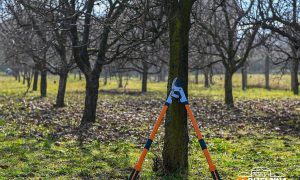 Temperature iznad prosjeka: Topli dani napravili problem voćarima u Srpskoj