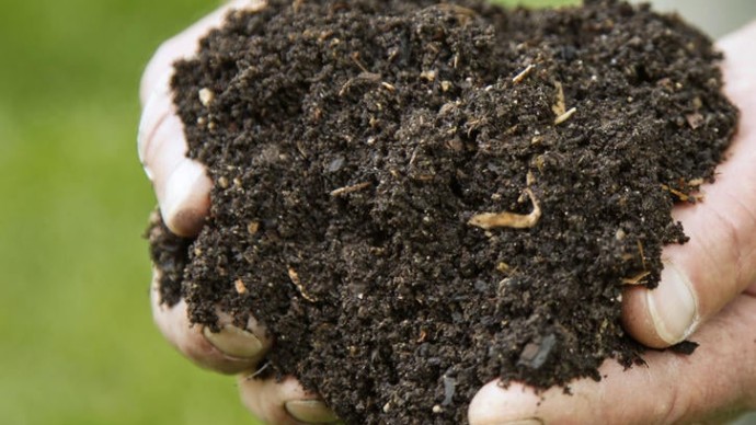 Pravljenje komposta od ljudskih ostataka dozvoljeno u još jednoj državi