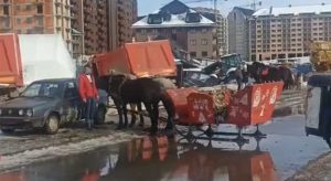 Džokej izubio kontrolu: Konji sa sankama udarili u auta VIDEO