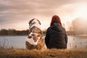 Pukla ljubav, a ostao trošak: Bivši muž nakon razvoda mora plaćati alimentaciju za psa
