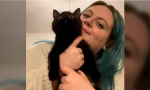 Potrošila 8.000 evra kod veterinara: Saznala da joj je mačka samo čudna