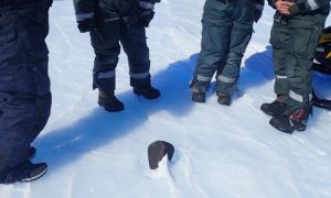 Istraživači na Antarktiku otkrili rijedak meteorit: Vjerujemo da je star četiri i po milijarde godina FOTO