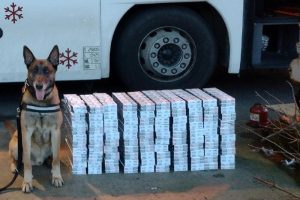 “Pali” krijumčari: Pas nanjušio 50.000 cigareta u autobusu