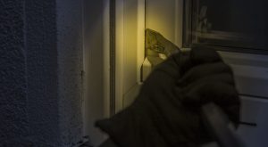 Muškarci pronađeni u obijenoj kući: Švajcarska policija lopove iz BiH uhvatila na djelu