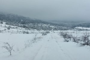 Snijeg i dalje pada: Srpska sela u Bosanskom Grahovu i dalje odsječena