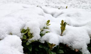 Topao Božić, hladan Uskrs: Meterolog objašnjava otkud snijeg u aprilu