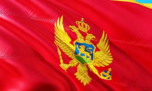 Predsjednički izbori u Crnoj Gori: Do 13 časova glasalo 35 odsto birača