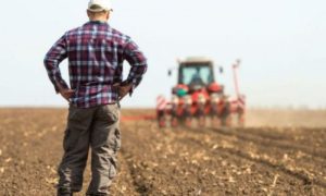 Posredstvom Agencije za agrarna plaćanja: Isplaćeno 1,7 miliona KM podsticaja za poljoprivredu