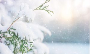Zima odlučna da “pokaže zube”: U BiH oblačno i suvo, ali veoma hladno vrijeme