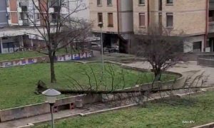 Nezgoda u naselju Borik: Vjetar srušio stablo u Banjaluci VIDEO