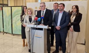 SDS stao iza gradonačelnika Bijeljine: Organizaciona podrška Petroviću pred opoziv