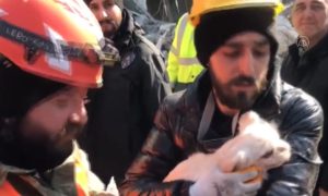 Više od 100 sati bila pod ruševinama: Žena spasena zahvaljujući lavežu psa VIDEO